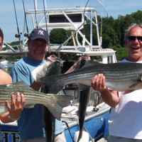 Striped Bass Fishing
