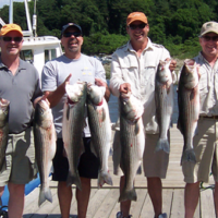 Striped Bass Fishing