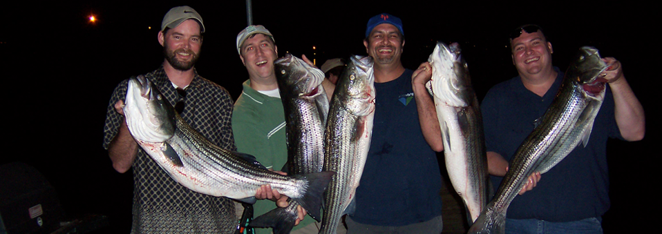 Striped Bass Fishing