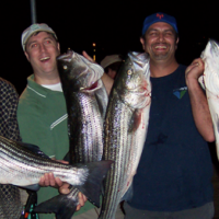 Striped Bass Fishing